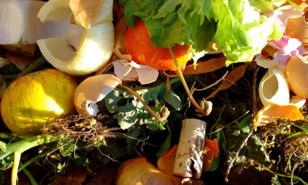Weekly - Organic Waste Collection